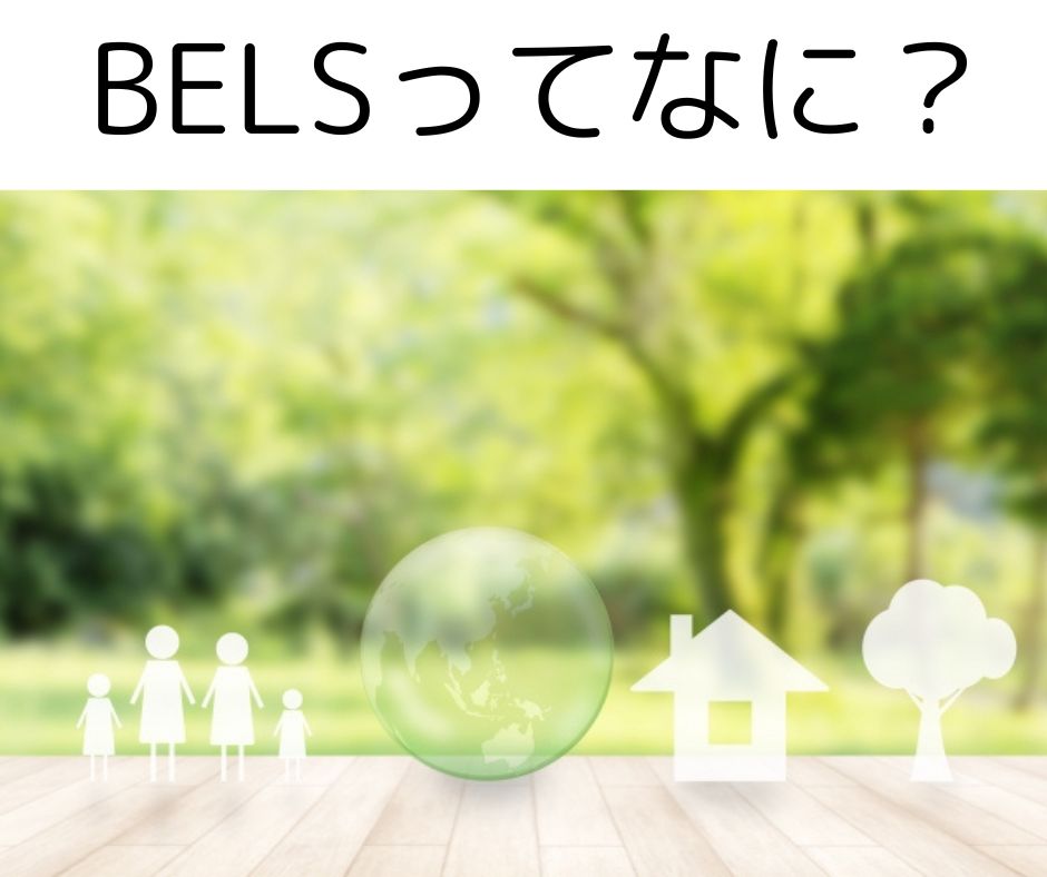 BELSとは？