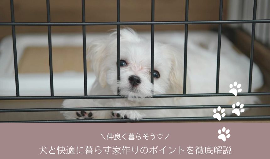 犬と快適に暮らす家づくりのポイント